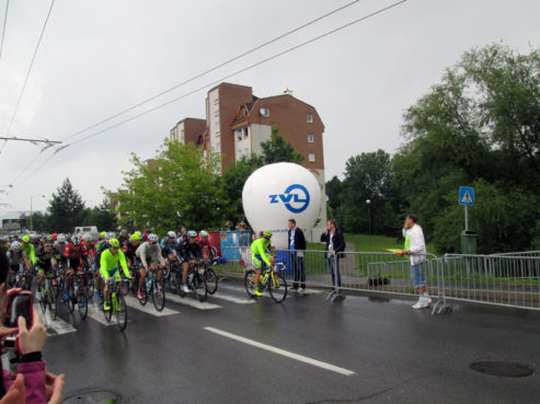 Majstrovstvá SR a ČR v cestnej cyklistike