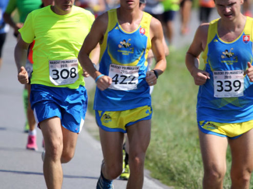 Rajecký maratón 2015 za účasti ZVL
